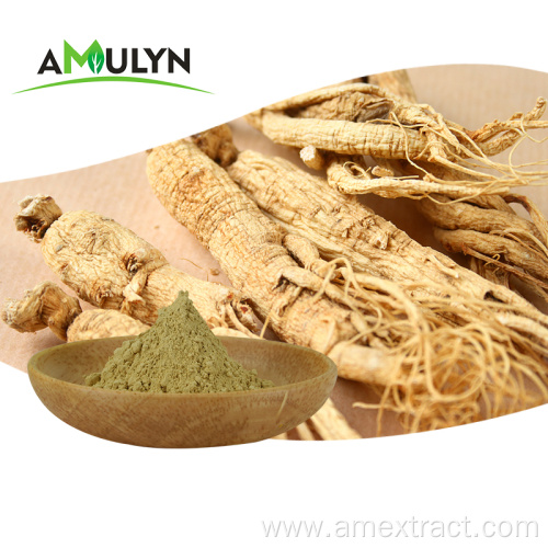 Best price ginsenosides siberian ginseng root extract powder